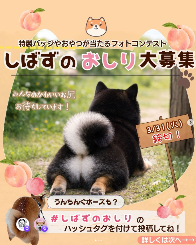 ＼ 第５回🤍フォトコン開催🐕✨／