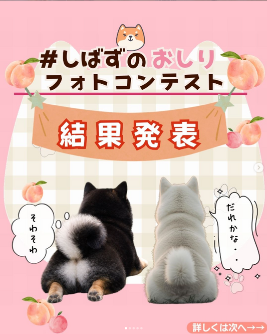 ＼ 第６回🤍フォトコン開催🐕✨／
