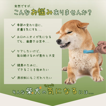【柴選】10年後も凛と美しく。皮膚とお口を守る北海道産クマザサエキス100ml
