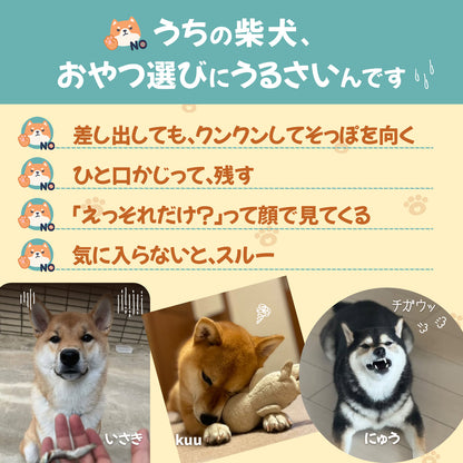【柴選】極上秋鮭のクリスピー鮭皮チップス20g パリッ！と響く北の恵み！