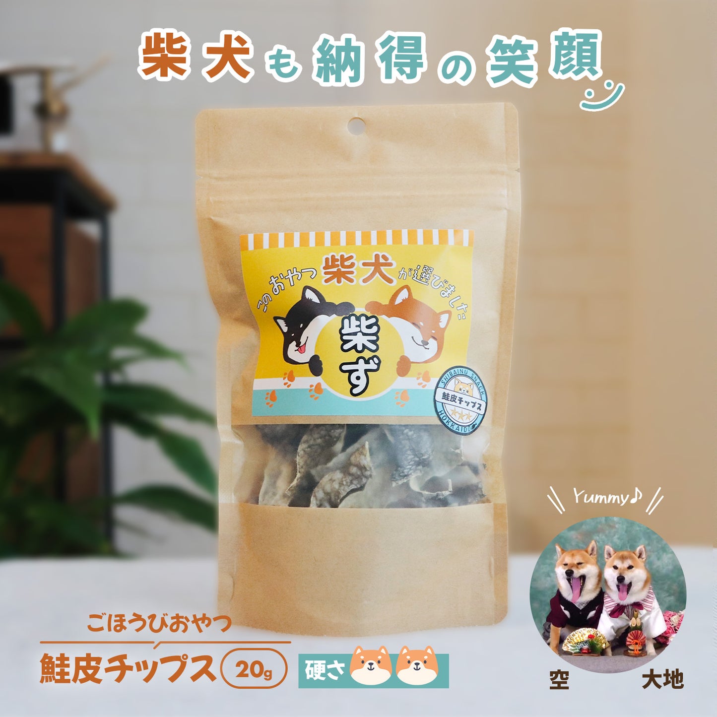 【柴選】極上秋鮭のクリスピー鮭皮チップス20g パリッ！と響く北の恵み！