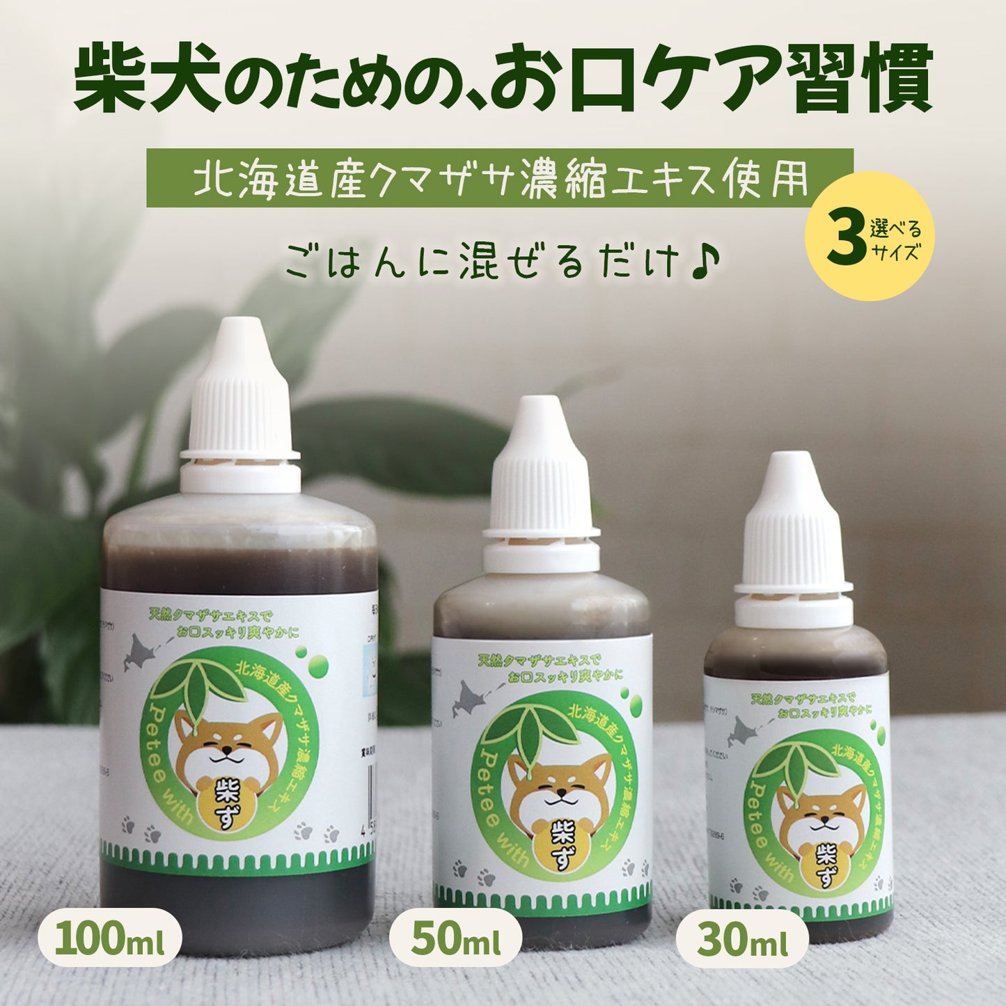 【柴選】10年後も凛と美しく。皮膚とお口を守る北海道産クマザサエキス100ml