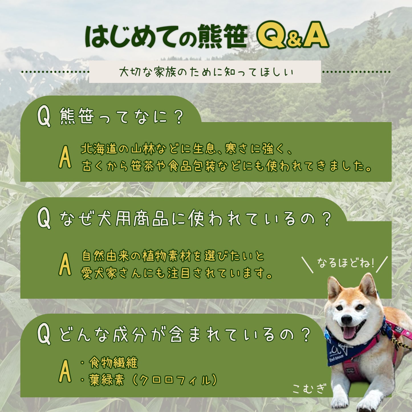 【柴選】10年後も凛と美しく。皮膚とお口を守る北海道産クマザサエキス100ml